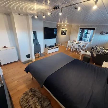 In With Norway ラルヴィク