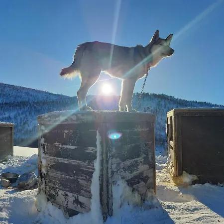 In With Norway ラルヴィク