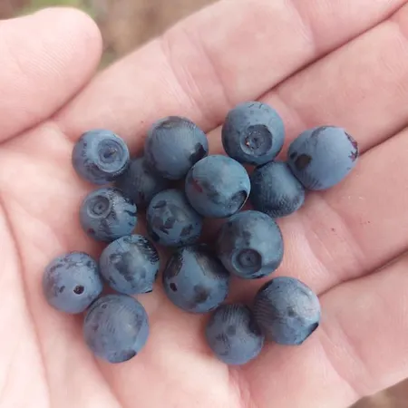 ベッド・アンド・ブレックファスト In With Norway 4*