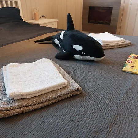 ベッド・アンド・ブレックファスト In With Norway ラルヴィク