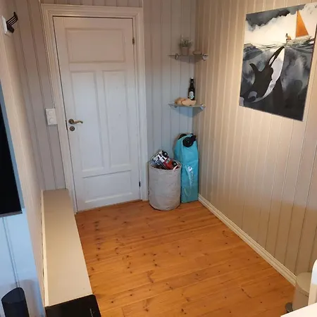 In With Norway 拉尔维克