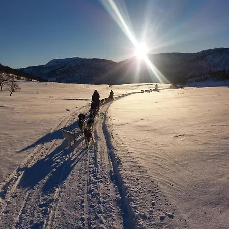 In With Norway